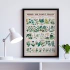 Detailed botanical illustrations showing economical uses of plants by Marcius Willson and Norman A Calkins in School and family charts Botanical economical uses of plants Poster of botanical illustrations showing economical uses of plants featuring artwork by Marcius Willson and Norman A. Calkins