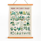 Detailed botanical illustrations showing economical uses of plants by Marcius Willson and Norman A Calkins in School and family charts Botanical economical uses of plants Poster of botanical illustrations showing economical uses of plants featuring artwork by Marcius Willson and Norman A. Calkins