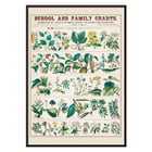 Detailed botanical illustrations showing economical uses of plants by Marcius Willson and Norman A Calkins in School and family charts Botanical economical uses of plants Poster of botanical illustrations showing economical uses of plants featuring artwork by Marcius Willson and Norman A. Calkins