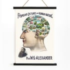 Popular Lectures on Human Nature book cover illustration of a phrenology diagram by an unidentified artist Poster of a phrenology-inspired illustration showcasing scenes of human activities inside a profile head Popular Lectures on Human Nature
