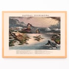 Diagram of Natural Phenomena by James Reynolds showcasing various landscapes and weather events. Poster depicting various natural phenomena with landscapes and volcanic activity titled Diagram of Natural Phenomena by James Reynolds.
