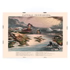 Diagram of Natural Phenomena by James Reynolds showcasing various landscapes and weather events. Poster depicting various natural phenomena with landscapes and volcanic activity titled Diagram of Natural Phenomena by James Reynolds.