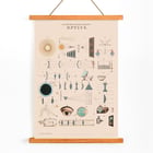 Colored lithograph illustration of optics by James Reynolds titled View of Lenses Poster of optical illustrations by James Reynolds featuring diagrams of lenses and light principles.