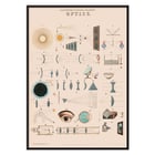 Colored lithograph illustration of optics by James Reynolds titled View of Lenses Poster of optical illustrations by James Reynolds featuring diagrams of lenses and light principles.