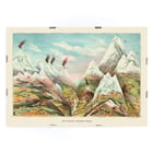 View of mountainous landscape and vegetation in artwork View of Nature in Ascending Regions by Levi Walter Yaggy. Poster of majestic mountainous landscape with peaks and valleys View of Nature in Ascending Regions by Levi Walter Yaggy