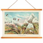 View of mountainous landscape and vegetation in artwork View of Nature in Ascending Regions by Levi Walter Yaggy. Poster of majestic mountainous landscape with peaks and valleys View of Nature in Ascending Regions by Levi Walter Yaggy