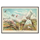 View of mountainous landscape and vegetation in artwork View of Nature in Ascending Regions by Levi Walter Yaggy. Poster of majestic mountainous landscape with peaks and valleys View of Nature in Ascending Regions by Levi Walter Yaggy