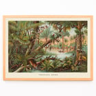 Tropical Zone by Levi Walter Yaggy depicting vibrant jungle scene with wildlife and people near a river. Poster of a vibrant jungle scene with wildlife and people by Levi Walter Yaggy titled Tropical Zone.