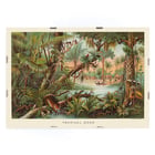 Tropical Zone by Levi Walter Yaggy depicting vibrant jungle scene with wildlife and people near a river. Poster of a vibrant jungle scene with wildlife and people by Levi Walter Yaggy titled Tropical Zone.
