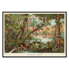 Tropical Zone by Levi Walter Yaggy depicting vibrant jungle scene with wildlife and people near a river. Poster of a vibrant jungle scene with wildlife and people by Levi Walter Yaggy titled Tropical Zone.