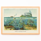 Vibrant undersea landscape with islands and aquatic life by Levi Walter Yaggy Nature in Descending Regions Poster titled Nature in Descending Regions by Levi Walter Yaggy depicting diverse marine life and landscapes in vibrant colors