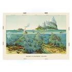 Vibrant undersea landscape with islands and aquatic life by Levi Walter Yaggy Nature in Descending Regions Poster titled Nature in Descending Regions by Levi Walter Yaggy depicting diverse marine life and landscapes in vibrant colors