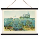 Vibrant undersea landscape with islands and aquatic life by Levi Walter Yaggy Nature in Descending Regions Poster titled Nature in Descending Regions by Levi Walter Yaggy depicting diverse marine life and landscapes in vibrant colors