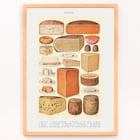 Illustrated cheese varieties by Beeton in Cheeses from Beetons Book of Household Management Cheeses poster from Beeton's Book of Household Management featuring various cheese illustrations.
