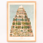 Decroissement Altitudinal de la vegetation by Jean-Augustin Barral showing diverse plant life on a mountain diagram. Poster titled Decroissement Altitudinal de la vegetation by Jean-Augustin Barral depicting various plant species on a mountain.
