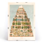 Decroissement Altitudinal de la vegetation by Jean-Augustin Barral showing diverse plant life on a mountain diagram. Poster titled Decroissement Altitudinal de la vegetation by Jean-Augustin Barral depicting various plant species on a mountain.