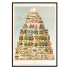 Decroissement Altitudinal de la vegetation by Jean-Augustin Barral showing diverse plant life on a mountain diagram. Poster titled Decroissement Altitudinal de la vegetation by Jean-Augustin Barral depicting various plant species on a mountain.