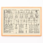 Analysis of human body proportions with diagrams by Alexander Rothaug Static and dynamic of the human body Pl.05 Poster of anatomical sketches depicting human body proportions titled Static and dynamic of the human body by Alexander Rothaug