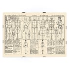 Analysis of human body proportions with diagrams by Alexander Rothaug Static and dynamic of the human body Pl.05 Poster of anatomical sketches depicting human body proportions titled Static and dynamic of the human body by Alexander Rothaug