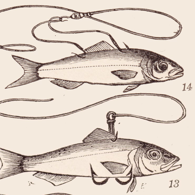 Fishing Poster Fishing Poster