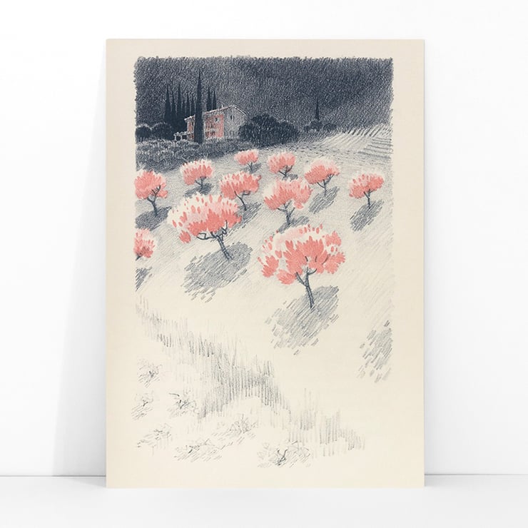Paysage rose Paysage rose