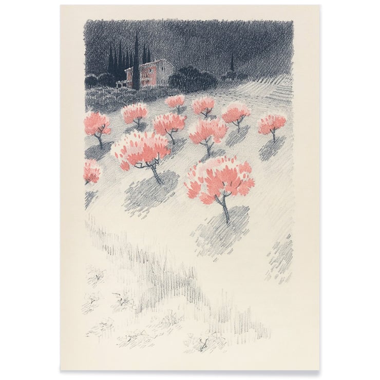 Paysage rose Paysage rose