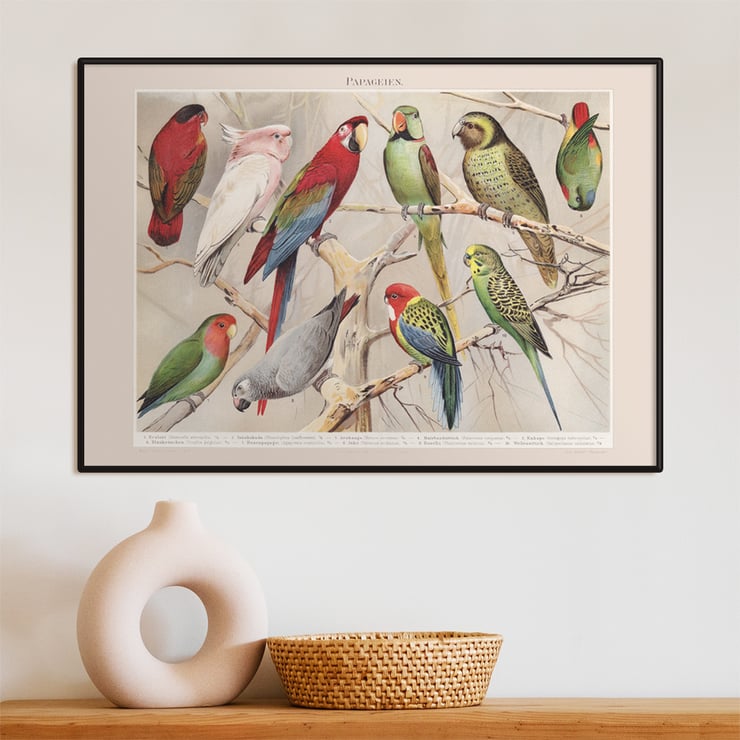 Parrots I Parrots I