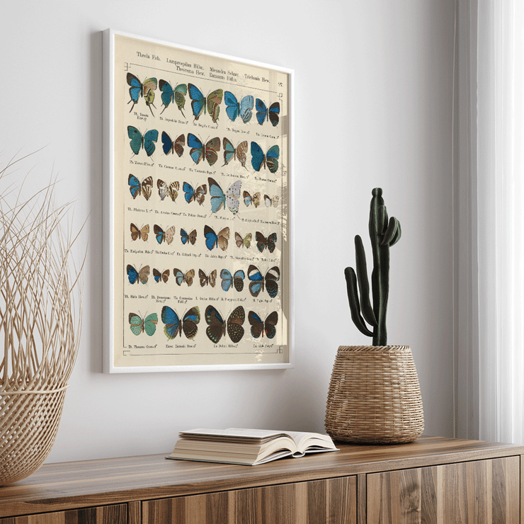 Colorful butterfly illustration Exotic butterflies Pl.097 by Otto Staudinger Poster showing various species of butterflies in vibrant colors from the artwork Exotic butterflies Pl.097 by Otto Staudinger.