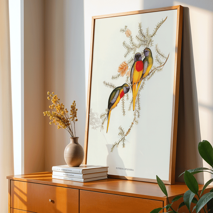 Splendid Grass-Parakeet Euphema Splendida artwork depicting colorful birds on branches Poster of three vibrant grass-parakeets perched on foliage titled Splendid Grass-Parakeet by Euphema Splendida
