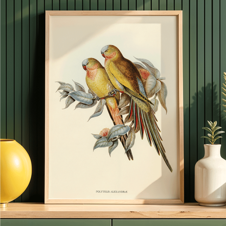 The Princess of Wales's Parakeet Polytelis Alexandrae artwork featuring two colorful birds on branches. Poster of The Princess of Waless Parakeet by Polytelis Alexandrae depicting colorful birds on branches with leaves