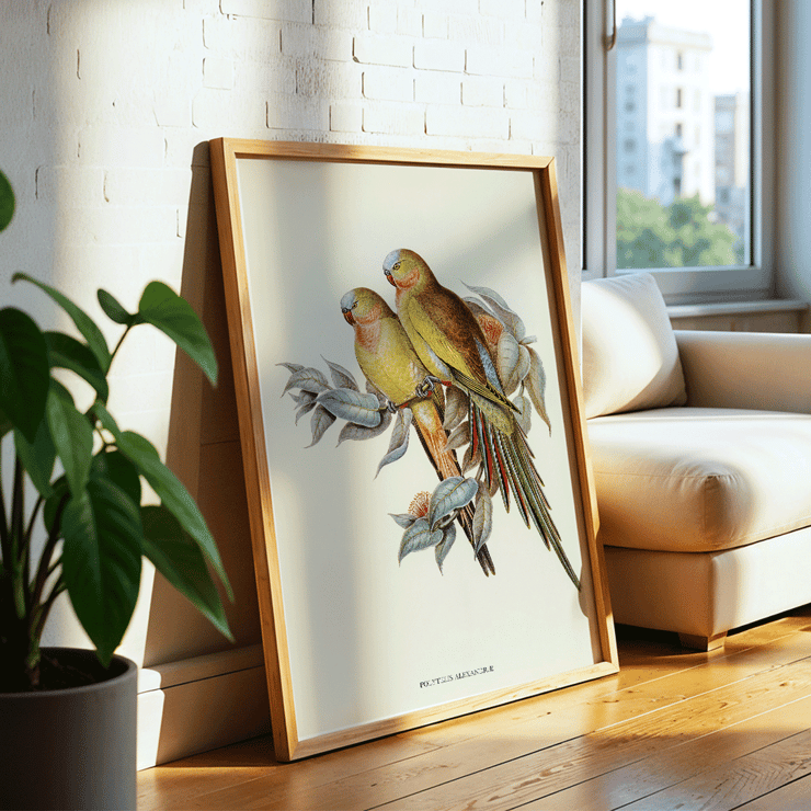 The Princess of Wales's Parakeet Polytelis Alexandrae artwork featuring two colorful birds on branches. Poster of The Princess of Waless Parakeet by Polytelis Alexandrae depicting colorful birds on branches with leaves
