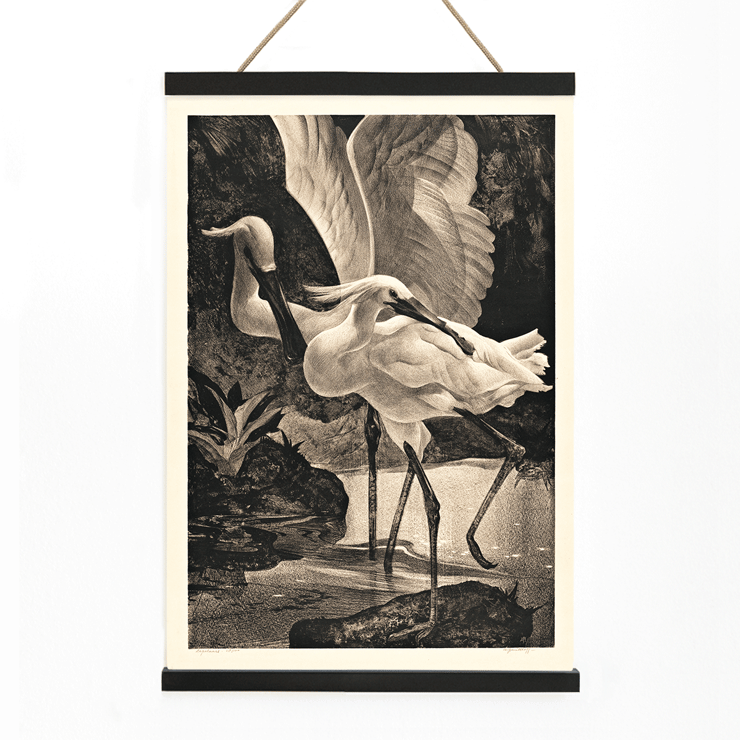 Egrets depicted in Lepelaars by Adriaan van Hoff artwork. Poster depicting spoonbills in a natural setting from the artwork Lepelaars by Adriaan van Hoff.