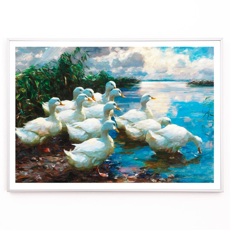 Enten an einem See Enten an einem See