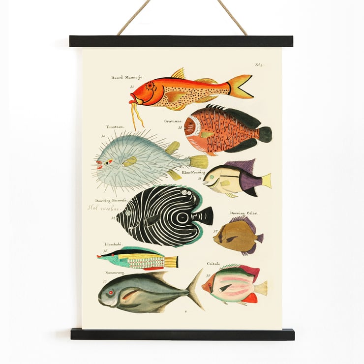Surreale Illustrationen von Fischen Surreale Illustrationen von Fischen