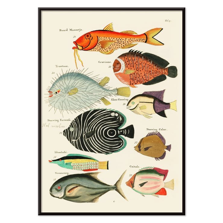 Surreale Illustrationen von Fischen Surreale Illustrationen von Fischen