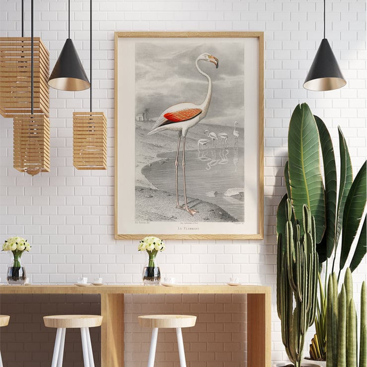 Der Flamingo Der Flamingo
