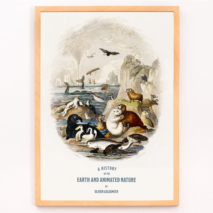 Terre et nature animée