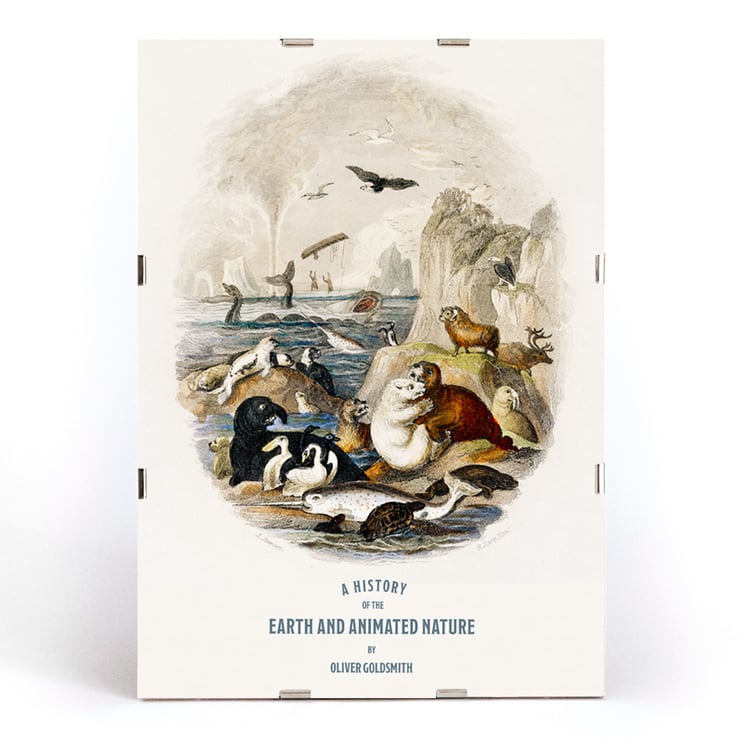 Terre et nature animée