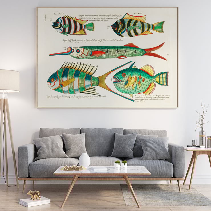 Colorful and surreal illustrations of Moluccas fishes by Louis Renard from Histoire naturelle des plus rares curiositez de la mer des Indes. Poster featuring colourful and surreal illustrations of fishes by Louis Renard from Histoire naturelle des plus rares curiositez