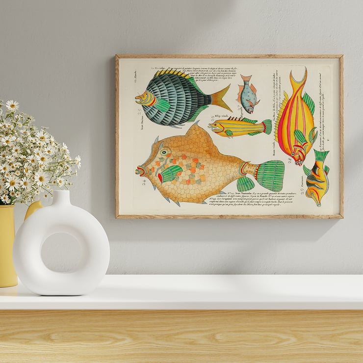 Colourful and surreal illustrations of fishes by Louis Renard from Histoire naturelle des plus rares curiositez de la mer des Indes Poster featuring colourful and surreal fish illustrations by Louis Renard from Histoire naturelle des plus rares curiositez de la mer