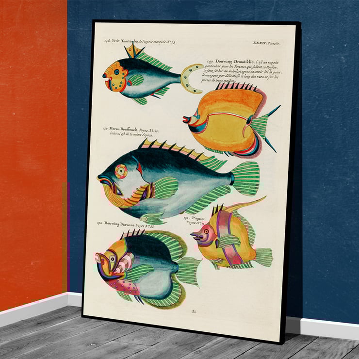 Colourful and surreal illustrations of fishes found in Moluccas and the East Indies by Louis Renard from Histoire naturelle des plus rares curiositez de la mer des Indes featuring diverse exotic marine life. Poster featuring colourful surreal fish illustrations from Histoire naturelle des plus rares curiositez by Louis Renard.