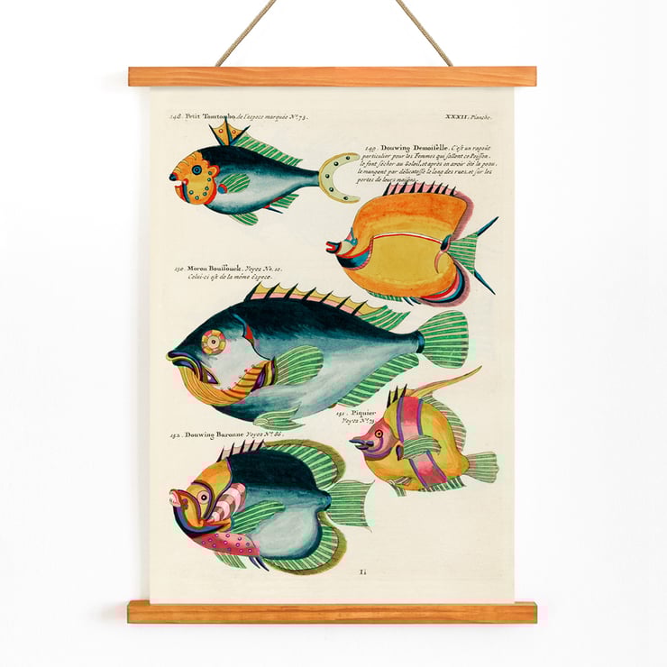 Colourful and surreal illustrations of fishes found in Moluccas and the East Indies by Louis Renard from Histoire naturelle des plus rares curiositez de la mer des Indes featuring diverse exotic marine life. Poster featuring colourful surreal fish illustrations from Histoire naturelle des plus rares curiositez by Louis Renard.