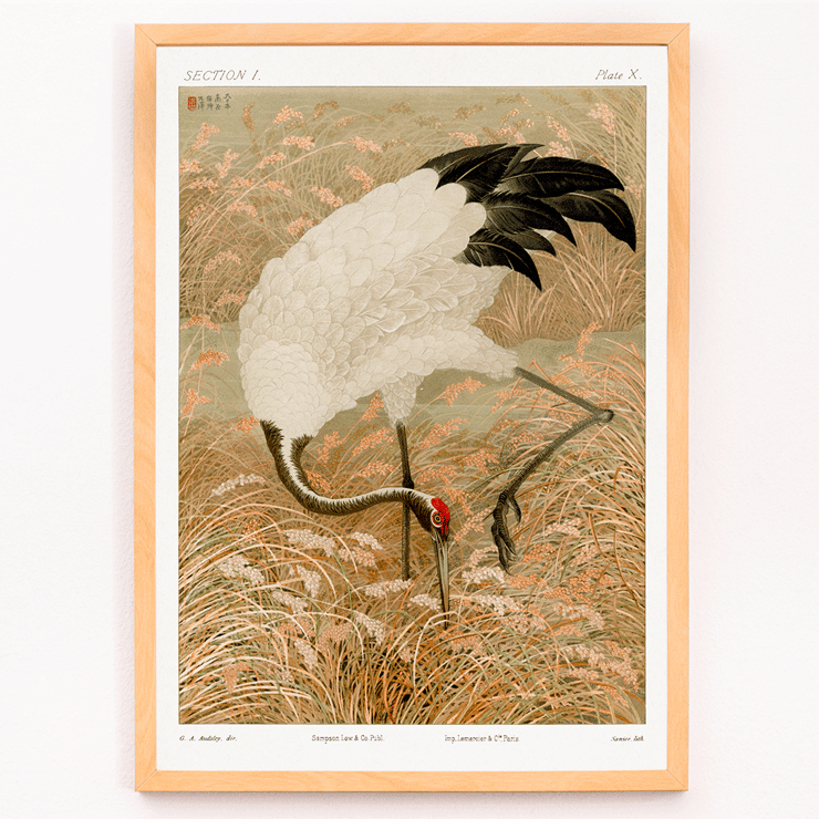 Sarus crane in a rice field by Samarai Poster of a Sarus crane standing in a rice field from the artwork titled Sarus crane in rice field by The Ornamental Arts Of Japan