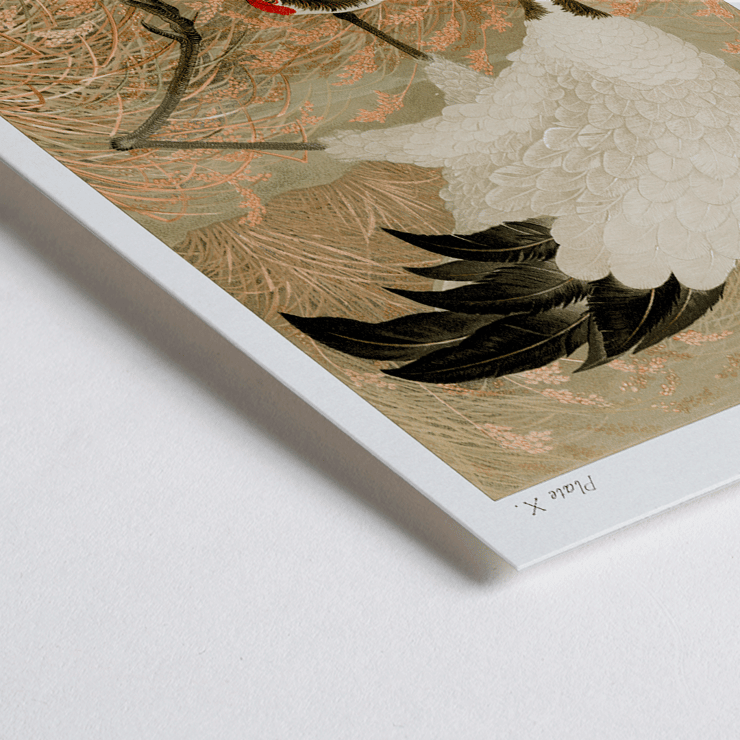 Sarus crane in a rice field by Samarai Poster of a Sarus crane standing in a rice field from the artwork titled Sarus crane in rice field by The Ornamental Arts Of Japan