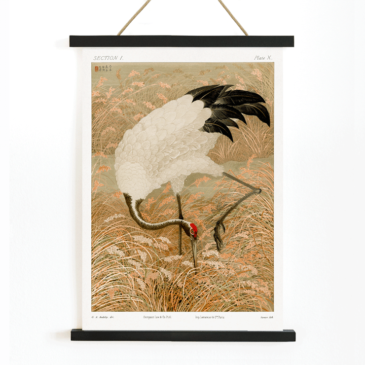 Sarus crane in a rice field by Samarai Poster of a Sarus crane standing in a rice field from the artwork titled Sarus crane in rice field by The Ornamental Arts Of Japan