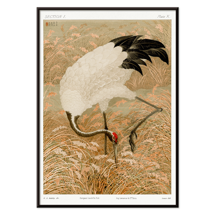 Sarus crane in a rice field by Samarai Poster of a Sarus crane standing in a rice field from the artwork titled Sarus crane in rice field by The Ornamental Arts Of Japan