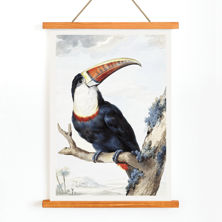 Red-billed Toucan by Aert Schouman perched on a branch in a landscape painting Poster of a Red-billed Toucan perched on a branch with a landscape background by Aert Schouman.