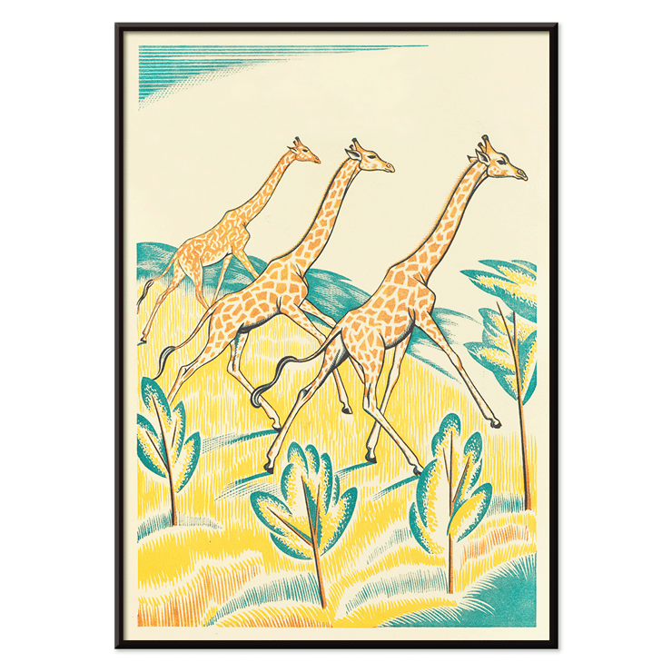 Giraffes in a vibrant landscape artwork by Clifford Webb titled A Jungle Picnic Pl.04 Girafe Poster showing three giraffes running through a colorful jungle titled A Jungle Picnic Pl.04 Girafe by Clifford Webb