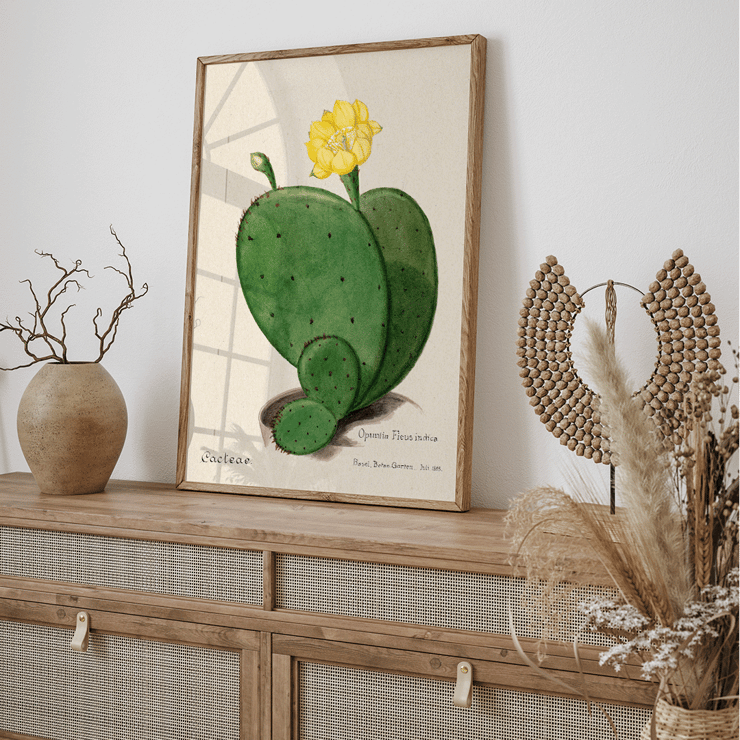 Indian fig opuntia cactus illustration by Karl Eduard Burger from artwork Familie Der Cacteen Poster featuring the artwork Indian fig opuntia cactus from Familie Der Cacteen depicting a green cactus with a yellow flower.