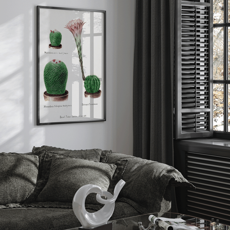 Botanical illustration featuring Rainbow Pincushion cactus and Easter lily from Familie Der Cacteen Poster depicting various cactus plants including Mammilaria nivea Mammilaria fulvispina and Echinopsis Zuccariniana from Familie Der Cacteen